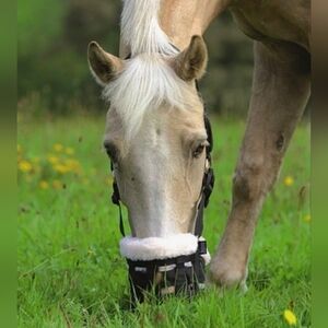 SHIRE DELUXE GRAZING MUZZLE- COB
